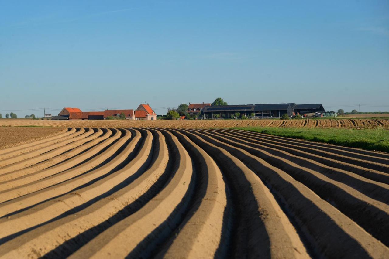 Hoeve Ten Rooden Duifhuize Sint-Denijs Exterior foto